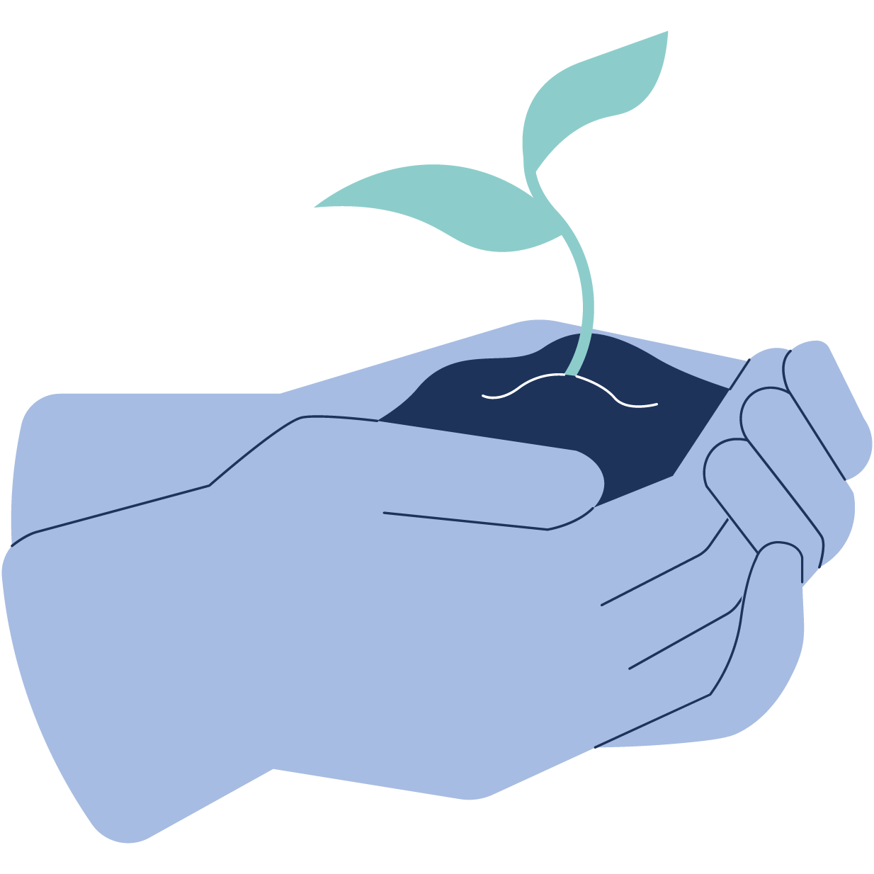 planting
